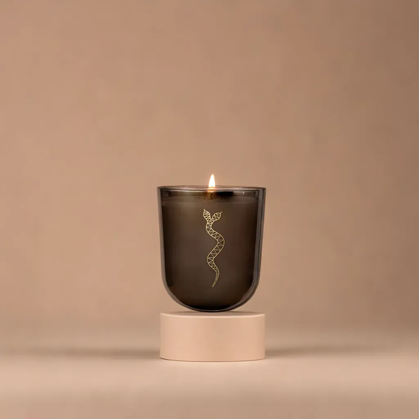 Persons of Interest Seasons Collection: Episode Two Candle